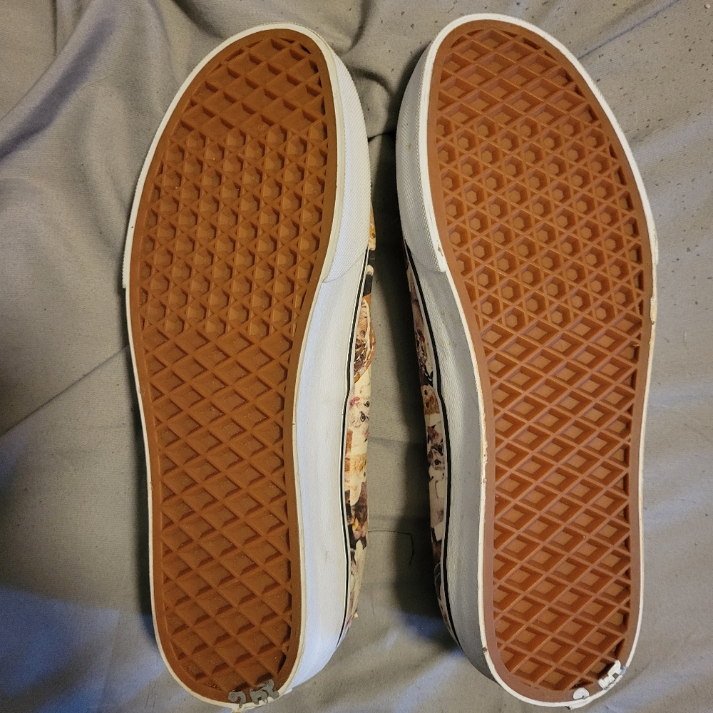 Aspca Vans - Picture 2 of 3